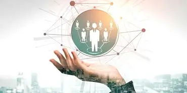 Executive Search